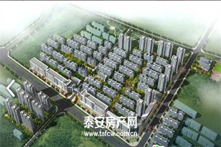 性价比好房！金东精装套三看好可议价